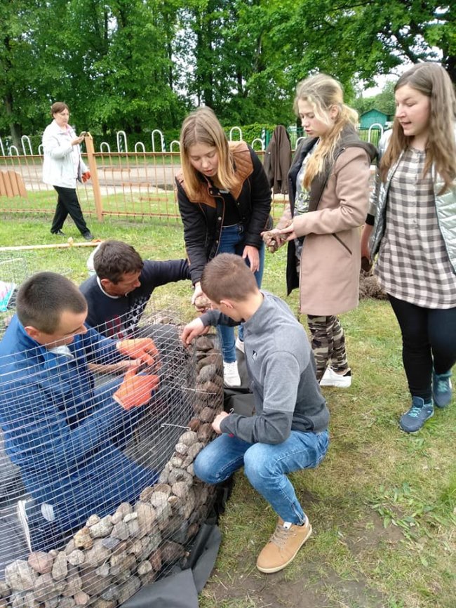 На подвір'ї школи на Волині створили креативні клумби. ФОТО