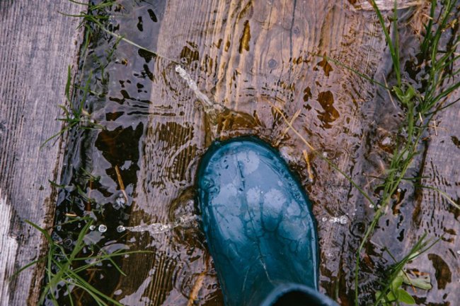 Луцька фотографка показала красу загадкового Черемського болота 