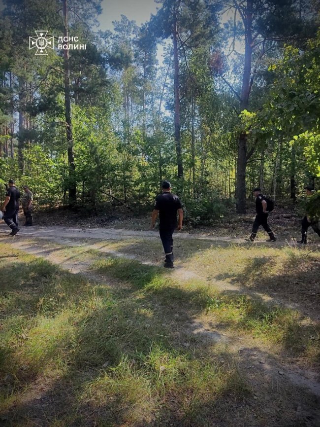 На Волині розшукують чоловіка, який пішов у ліс і заблукав