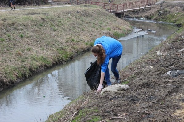 У Луцьку прибрали Сапалаївку. ФОТО