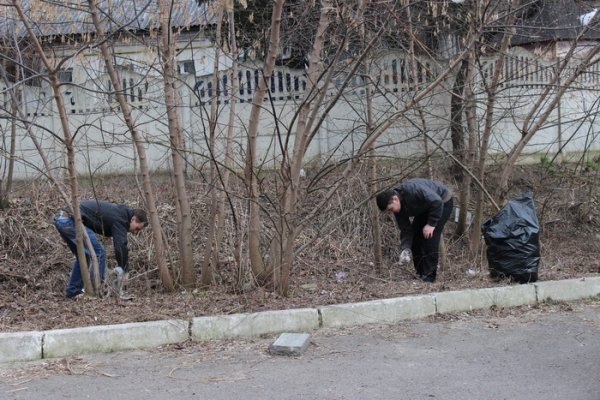 У Луцьку прибрали Сапалаївку. ФОТО