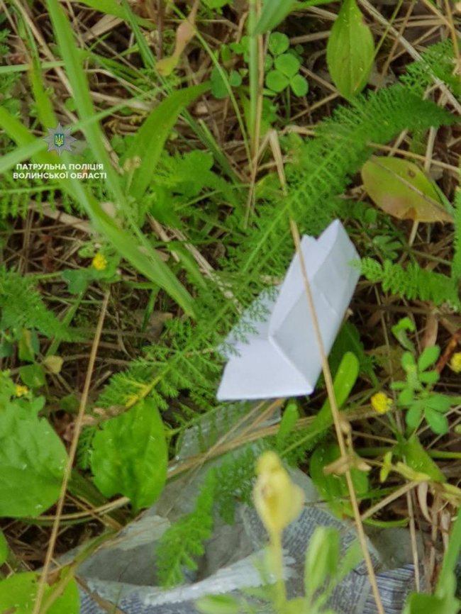 У Ковелі чоловік під «наркотою» керував автівкою