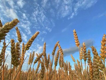 Добрі новини від ВолиньPost за 28 липня