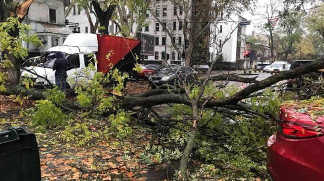 В Одесі буревій повалив дерево: постраждало 10 автомобілів. ФОТО