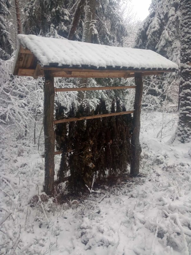 Волинські лісівники заготовляють смаколики на зиму для диких тварин. ФОТО