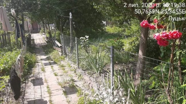  Нібито приватні території: мешканців луцьких багатоповерхівок змушують демонтувати незаконні паркани, городи і шини з квітами 