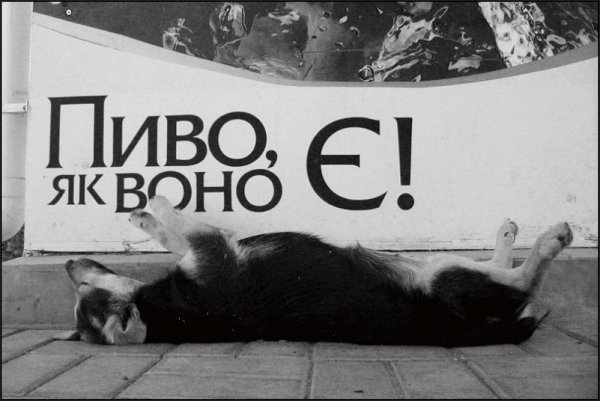 Фотовиставка Тараса Цибуха