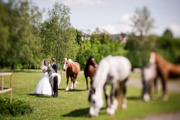 Фотовиставка Василя Шевчука