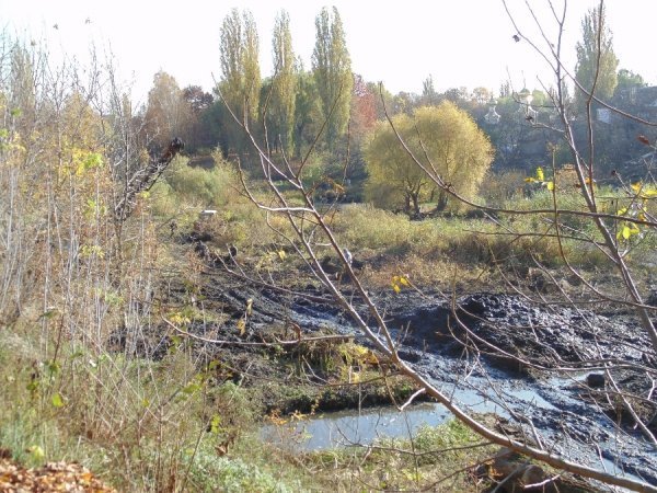 Лучанин «дякує» чиновникам за «красу» біля Сапалаївки. ФОТО