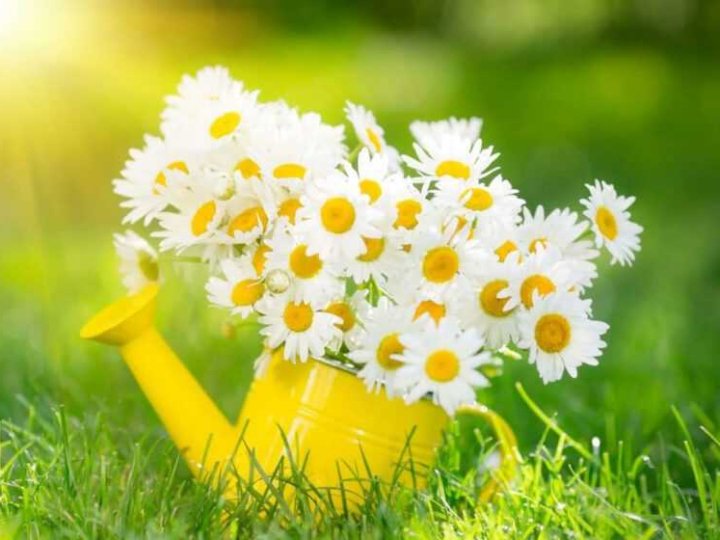 Погода в Луцьку та Волинській області на завтра, 3 червня