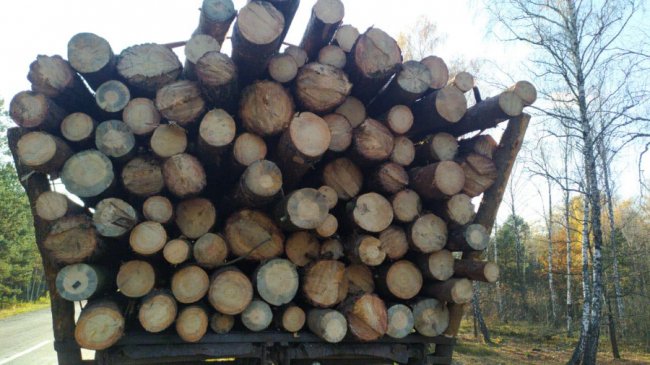 На Любешівщині зупинили два трактори із «лівою» деревиною