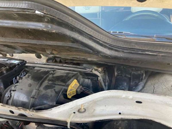 У місті на Волині під капот авто заповзла змія – працювали рятувальники 