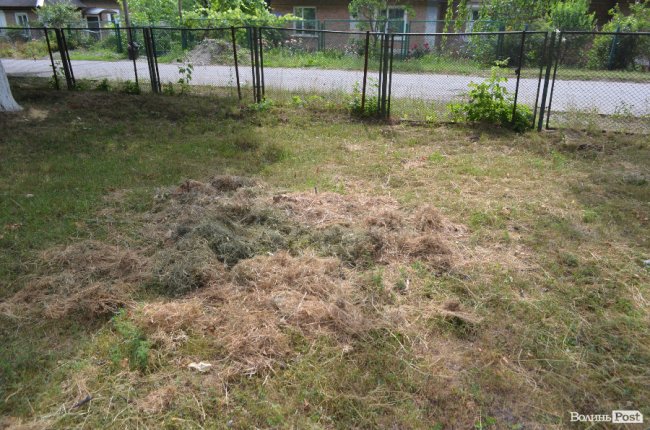 Тушки ворон і курячий послід: лучанин нарікає на безлад поблизу гуртожитків. ФОТО