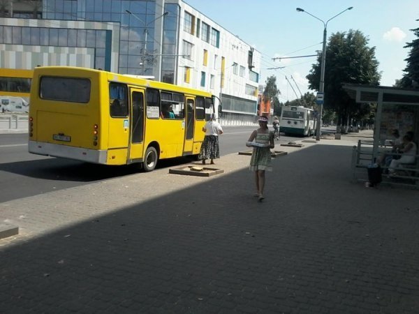 Луцьк продовжують «зачищати» від дерев. ФОТО
