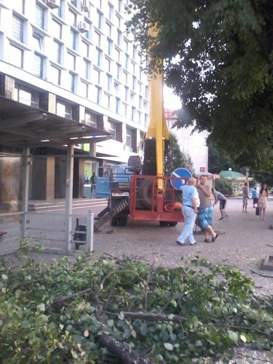Луцьк продовжують «зачищати» від дерев. ФОТО