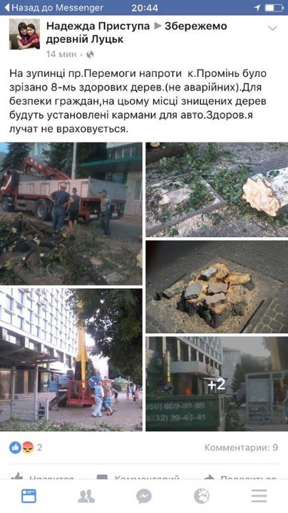 Луцьк продовжують «зачищати» від дерев. ФОТО