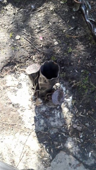  Знесли вказівник до луцького зоопарку. ФОТО