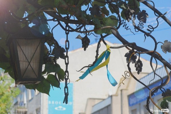 До Дня міста. Патріотичний Луцьк. ФОТО