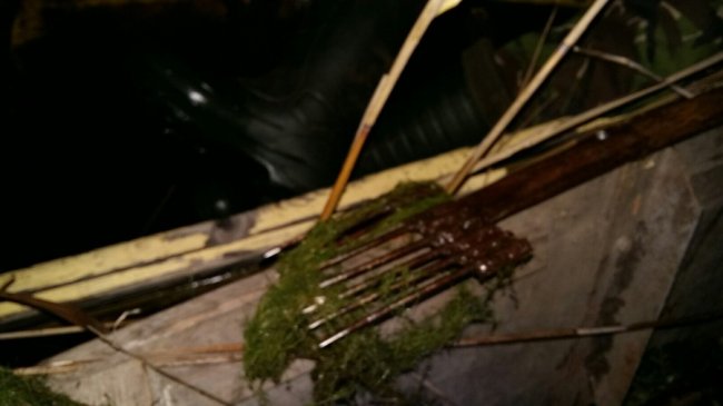 На Волині затримали браконьєрів, які ловили рибу з човна підсакою та острогою. ФОТО