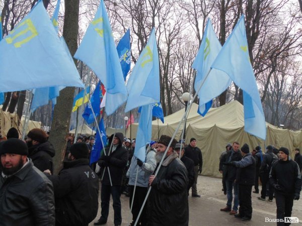 Фотовраження лучанина від Антимайдану в Києві