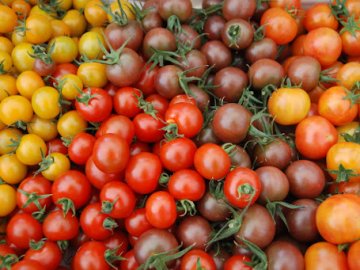 В Узбекистані заявляють, що вивели «чарівні» помідори з COVID-вакциною всередині