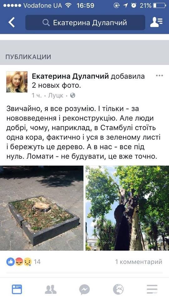 Вирубка дерев у Луцьку: реакція волинян. ФОТО