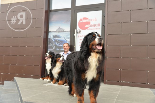  «Яровиця» – не лише хороше житло, а й концентрація успішного бізнесу* 