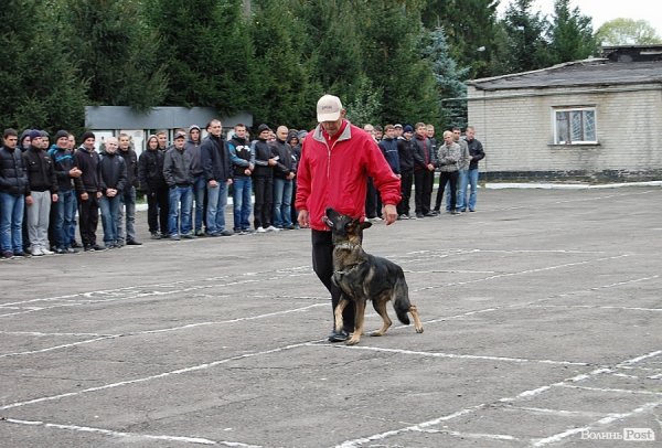 Як волинських юнаків проводжали в армію. ФОТО