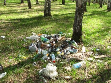 Головний лісівник Волині закликав жителів області не вивозити сміття до лісу