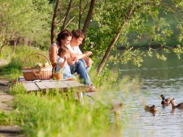 Ставок, пляж та волейбольне поле: у селі на Волині хочуть зробити рекреаційну зону. ВІДЕО