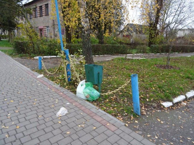Собаки розривають памперси: на Волині - смітник в центрі селища