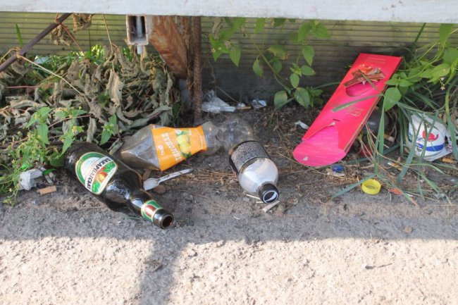 Собаки розривають памперси: на Волині - смітник в центрі селища