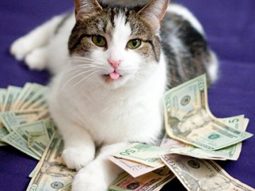 Курс валют у Луцьку на 3 березня