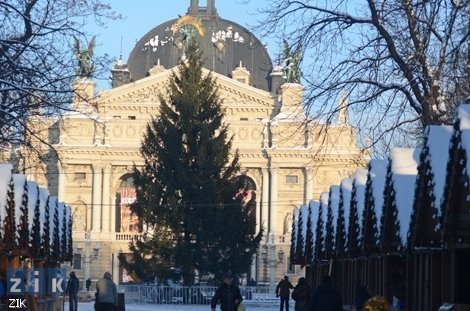 У центрі Львова поставили обскубану ялинку. ФОТО