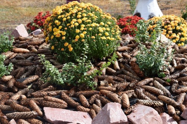 На Волині лісівники спільно з громадою облаштували дендропарк. ФОТО