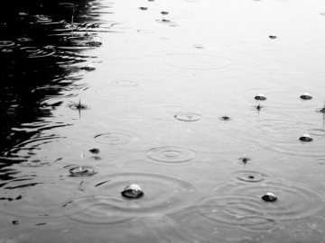 У віторок, 21 серпня, синоптики передають дощі