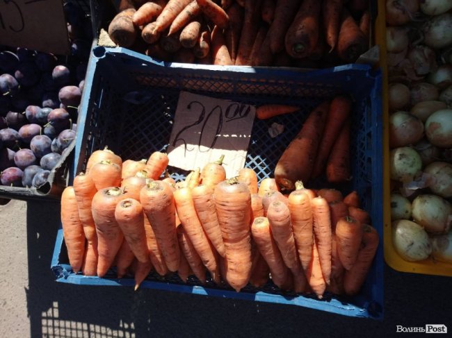 Дорожче, ніж персики: скільки коштує морква на луцькому ринку 