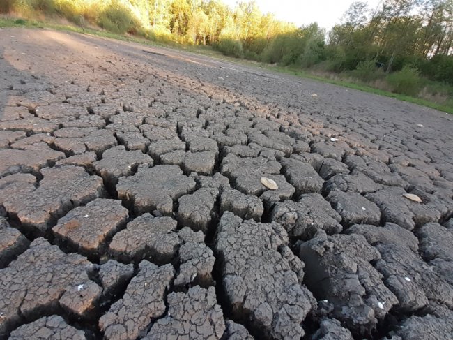 Між волинськими селами наповнилося водою лісове озеро. ФОТО