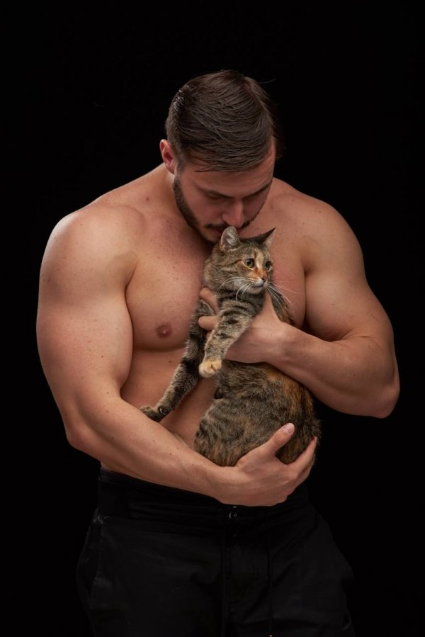 Афіна. Найстарша киця. Врятована від смерті з мінської «усипалки» і привезена на порятунок у Луцьк. Дуже спокійна і добра киця, яка цінує кожен день свого життя. Має ветпаспорт і усі щеплення