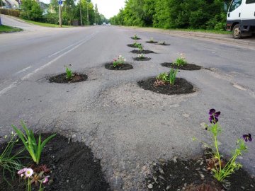 Активісти висадили квіти у вибоїни на дорогах Луцька. ФОТО