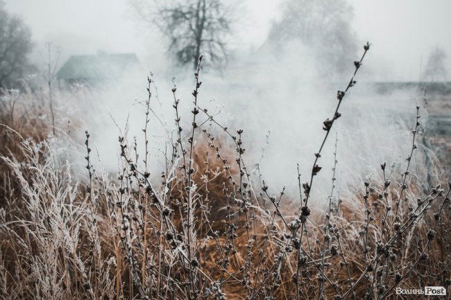 Туманно-сіра краса у Луцьку. ФОТО