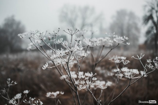 Туманно-сіра краса у Луцьку. ФОТО