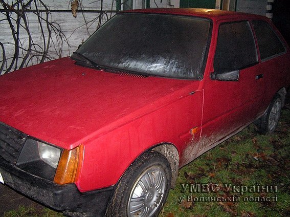 За вбивство пенсіонерки неповнолітній волинянин «сяде» на 13 років. ФОТО