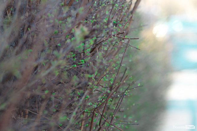 Пасхальні дні у Луцьку. ФОТО
