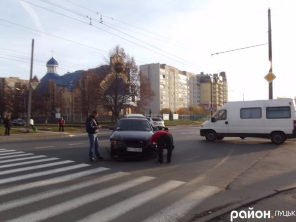 У Луцьку собака - винуватець ДТП. ФОТО