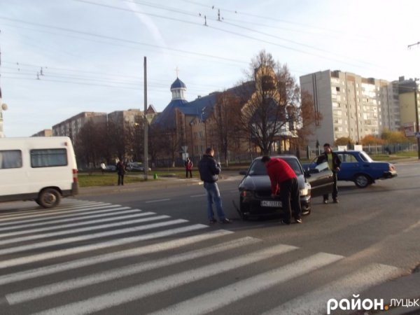 У Луцьку собака - винуватець ДТП. ФОТО