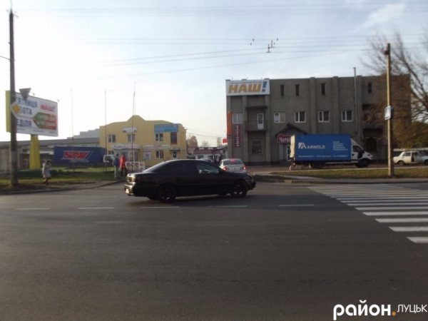 У Луцьку собака - винуватець ДТП. ФОТО