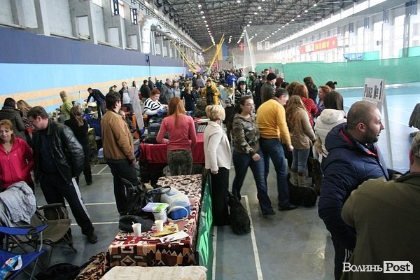 У Луцьку – виставка собак. ФОТО