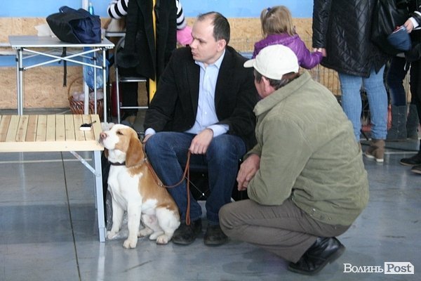 У Луцьку – виставка собак. ФОТО
