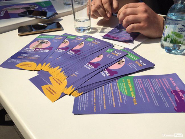 «Мокрі носики»: вперше у Луцьку – фестиваль, де можна знайти справжнього друга. ПРОГРАМА